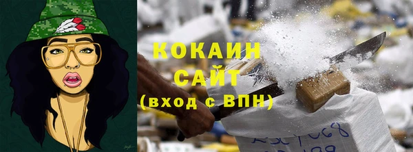 молекула духа Медвежьегорск