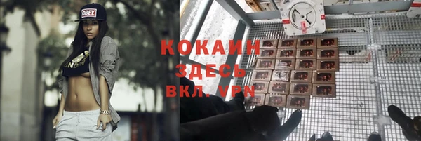 молекула духа Медвежьегорск