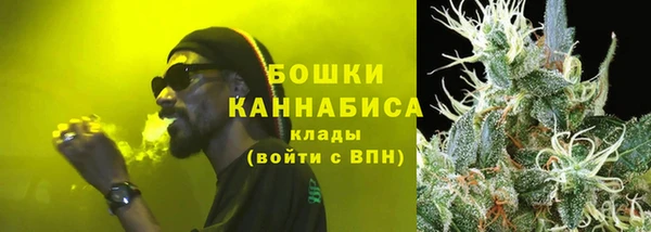 молекула духа Медвежьегорск