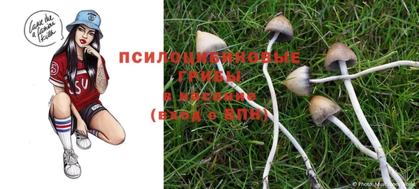 COCAINE Михайловка