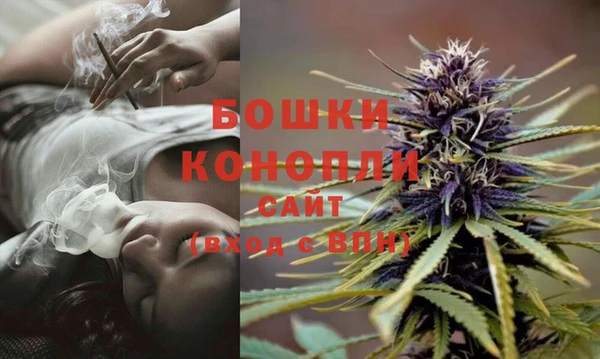 МДПВ Новодвинск