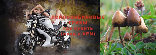 МДПВ Новодвинск