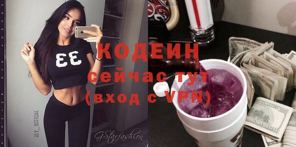 молекула духа Медвежьегорск