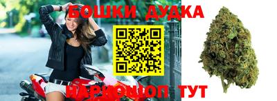 ПСИЛОЦИБИНОВЫЕ ГРИБЫ Канаш