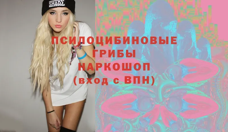 Галлюциногенные грибы Magic Shrooms  Северск 