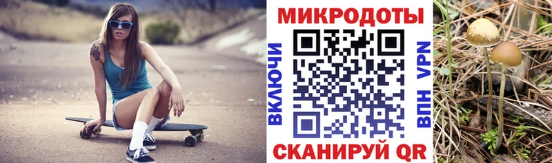 ссылка на мегу вход  Северск  Галлюциногенные грибы мухоморы  магазин  наркотиков 